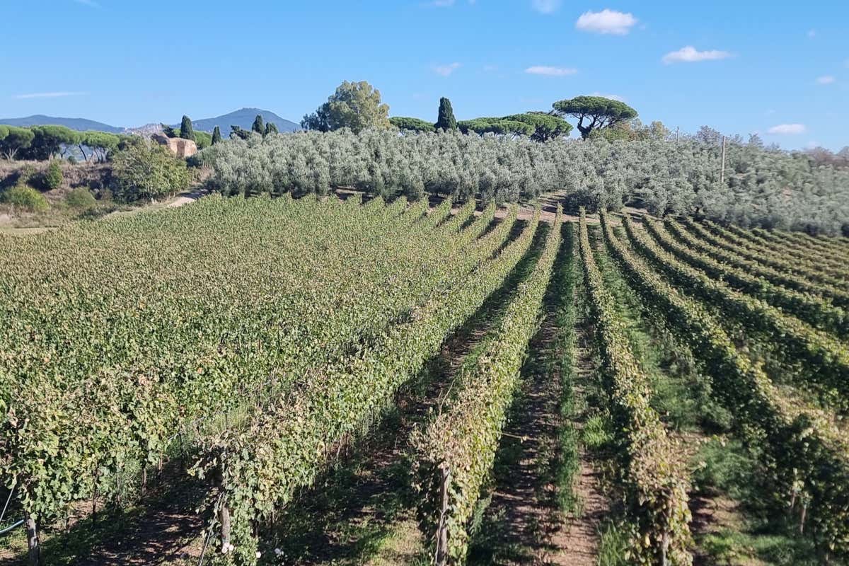 Via Francigena nel Lazio: un viaggio lento tra borghi, laghi,  mare e sapori veri